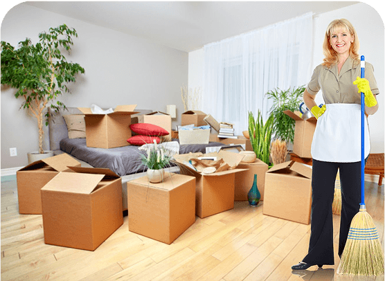 Eco-Friendly Cleaning Products That Actually Work